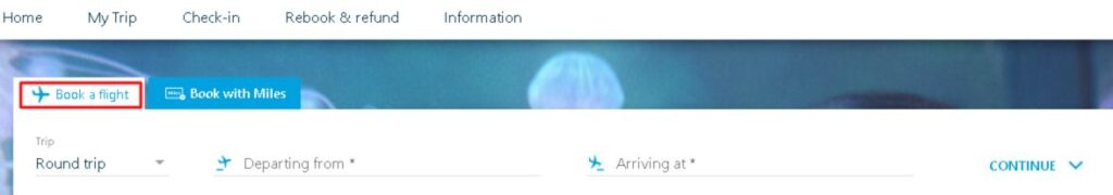 KLM Online Reservations 