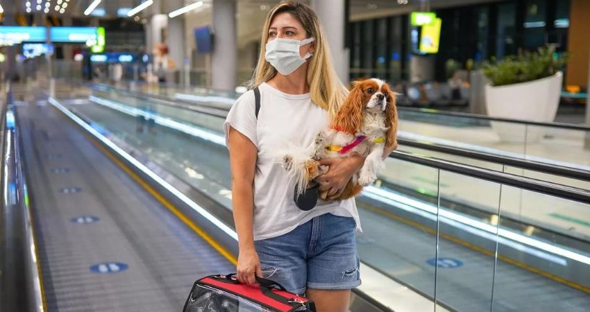 Asiana Airlines Pet Policy