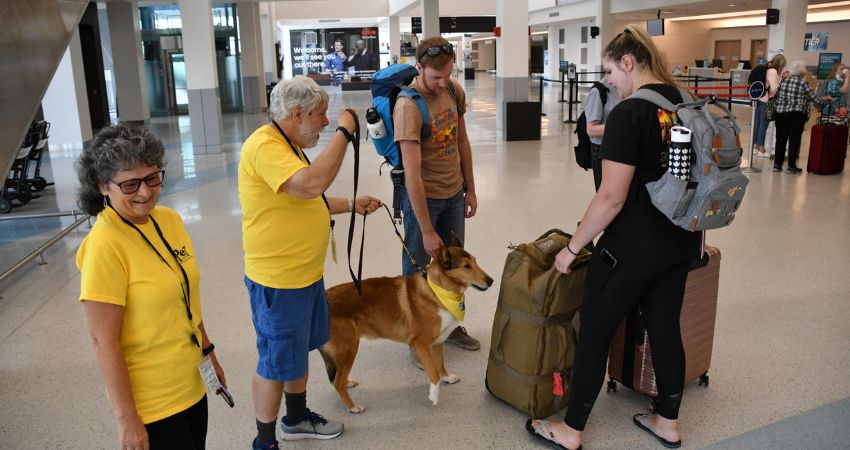 KLM Pet Policy
