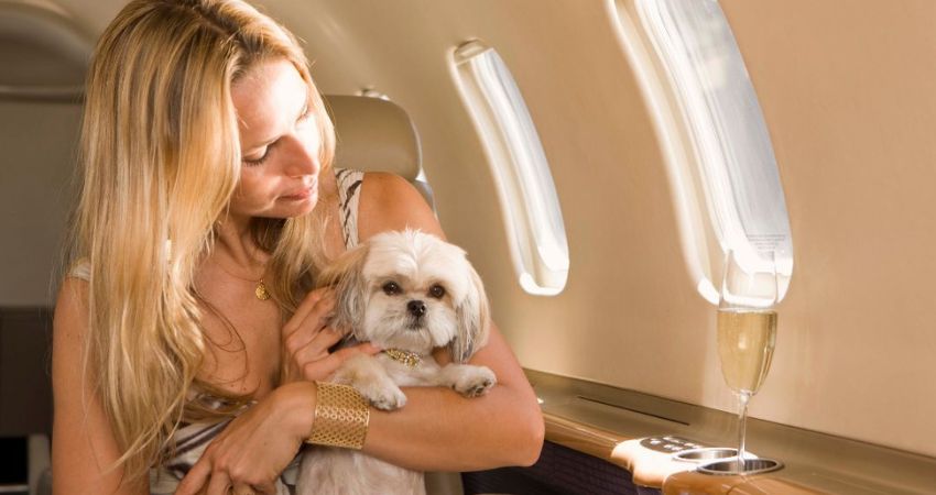 TUI Pet Policy for Emotional Support Animals